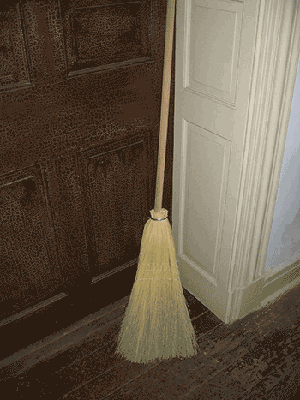 Standing Broom